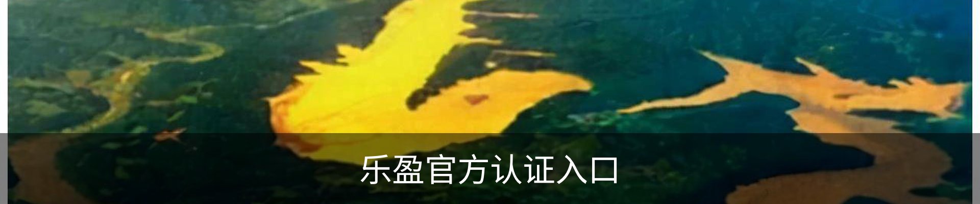 乐盈(LEYING)官方网站 - 官方认证入口